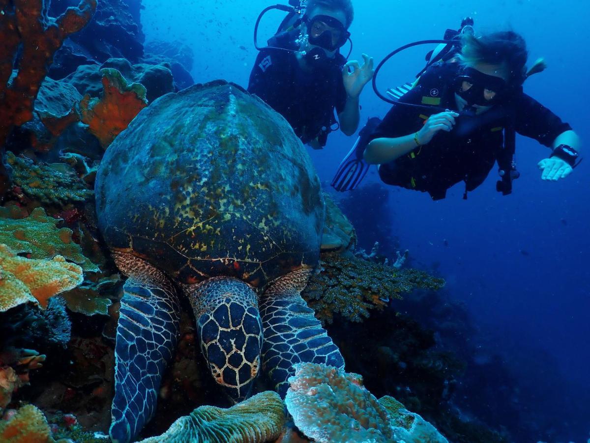 Araya Dive Resort Togean Bomba ภายนอก รูปภาพ